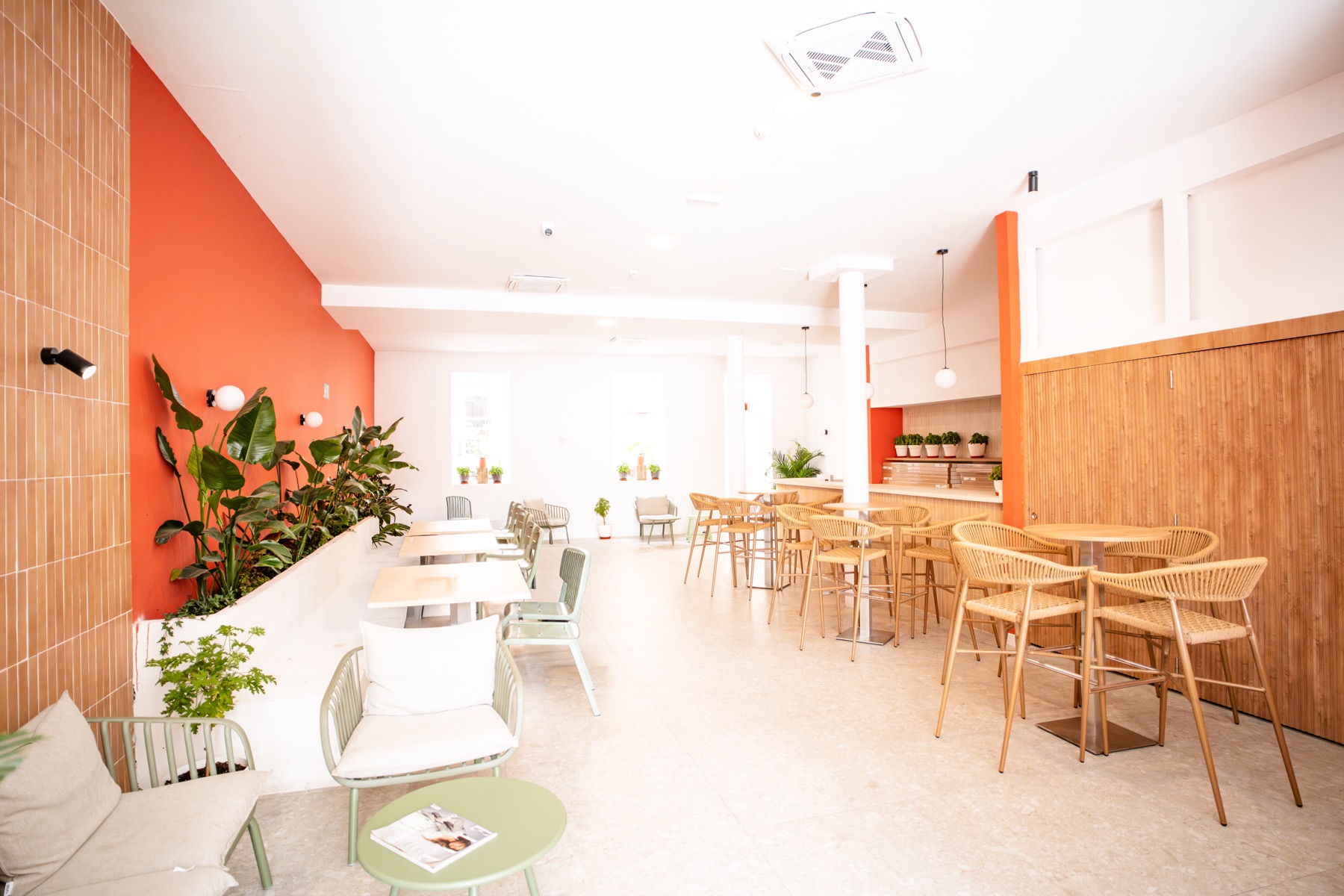 Comedor común del hostel con mesas y plantas